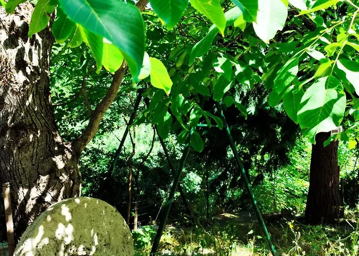 シャレー Moinho Do Zorrao マンテイガス