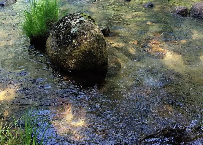 Moinho Do Zorrao シャレー マンテイガス